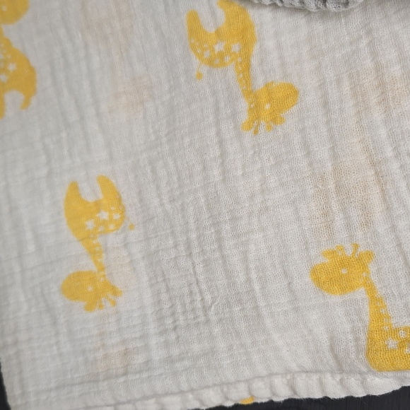 Aden + Anais Muslin Swaddle Blankets - Picture 2 of 4